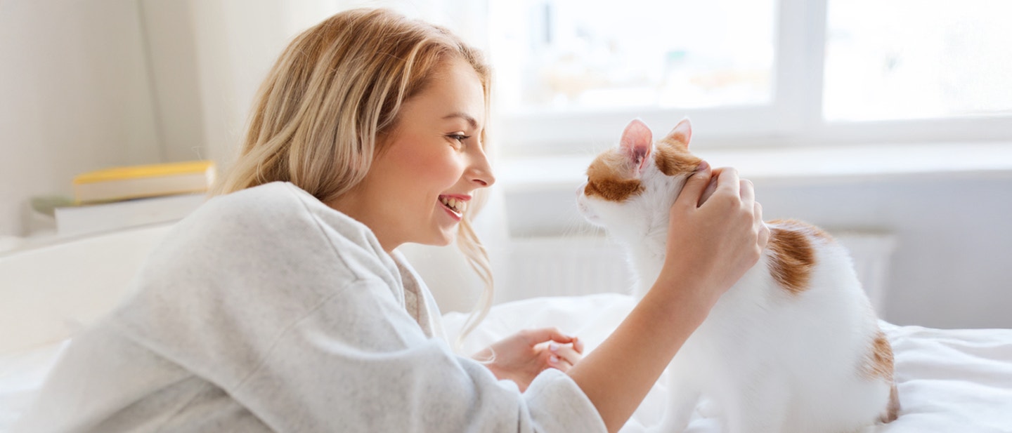 Jak gàaskaÜ kota, aby byà zadowolony_