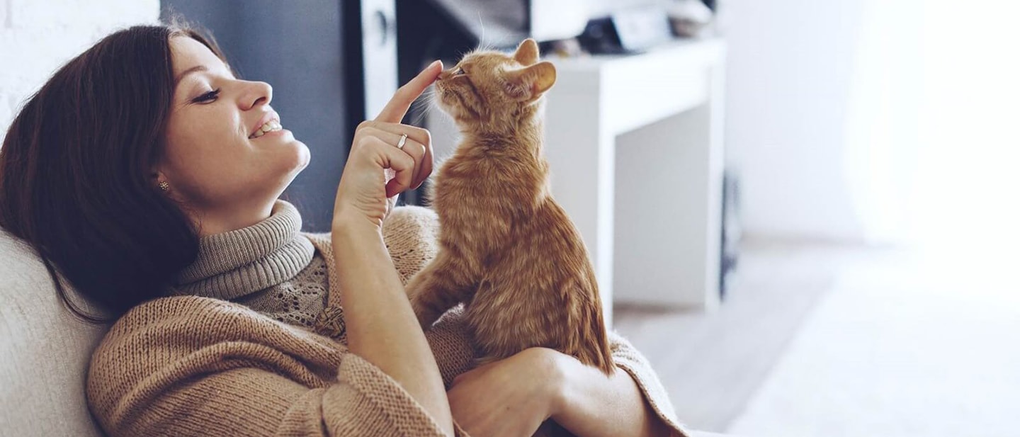 KORZYŚCI ZDROWOTNE Z POSIADANIA KOTA