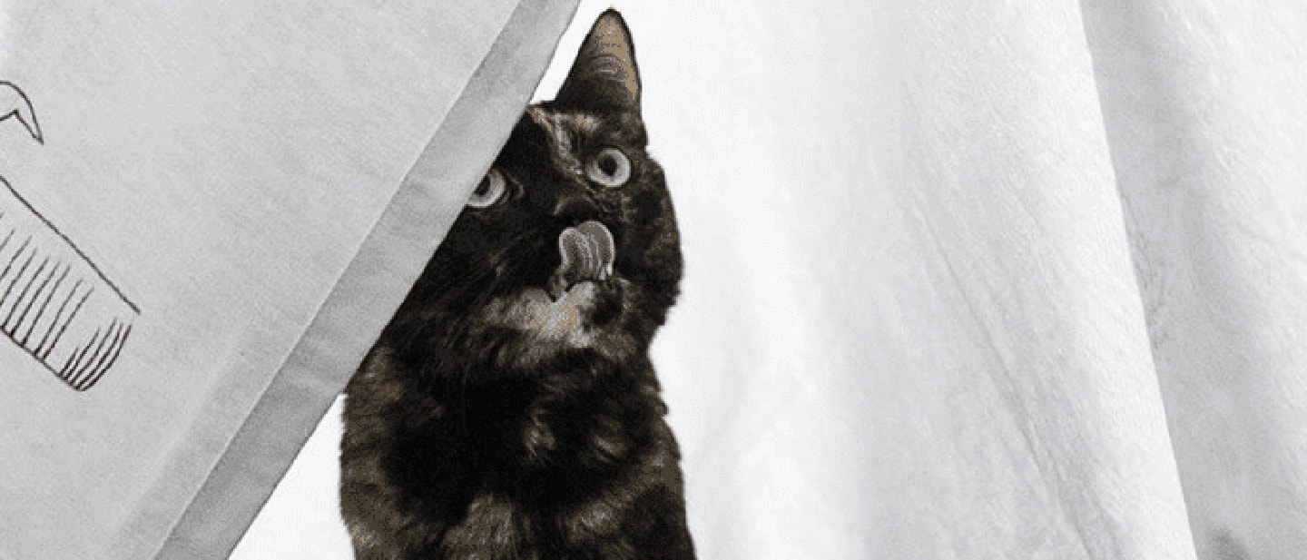 UWOLNIJ JEGO INSTYNKT ŁOWCY