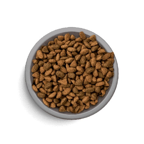 image Perfect%20Fit%E2%84%A2%20Adult%201%2B%207%20kg%20%E2%80%93%20sucha%20karma%20pe%C5%82noporcjowa%20dla%20doros%C5%82ych%20kot%C3%B3w%2C%20bogata%20w%20kurczaka