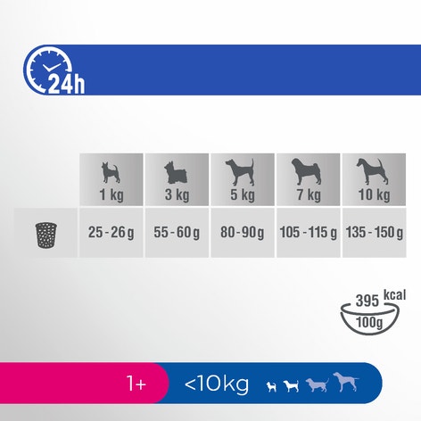 image pft-dog-adult-small-chck-t61-nl-de_1688480389996