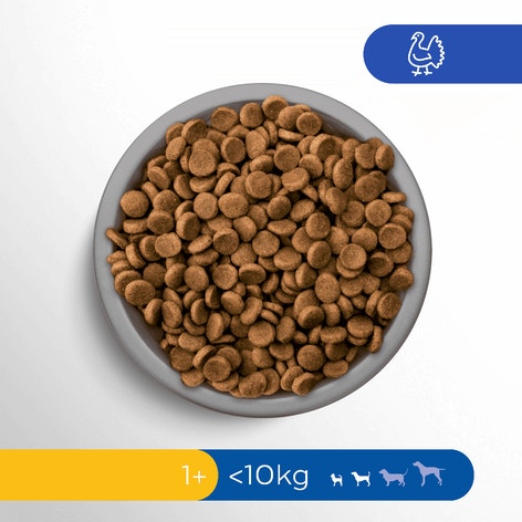 image pft-dog-sensitive-1-plus-trk-t66-nl-de_1688635987430