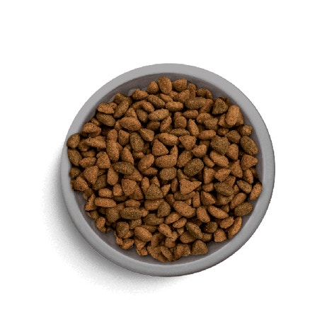 image pft-dry-adulr-beef-t3-uk_1688478787585_0