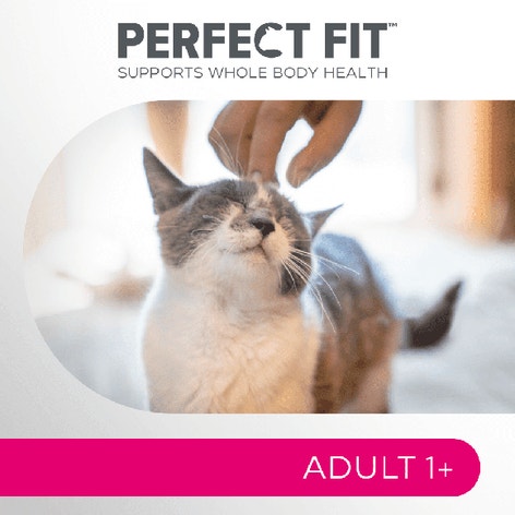 image pft-dry-adult-t64-uk-display_1688636924408