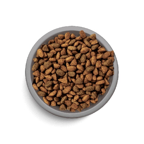 image pft-dry-indoor-ck-t3-uk_1688633469228