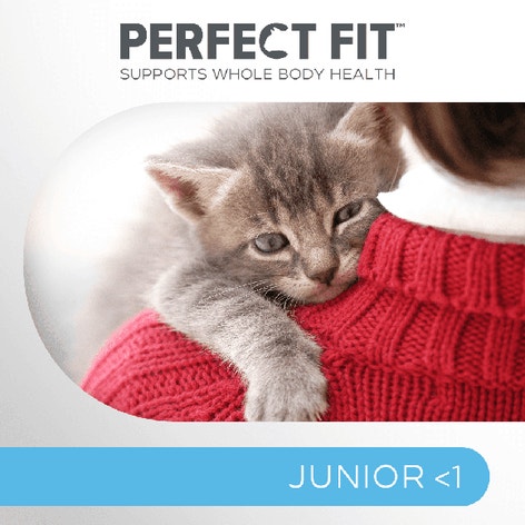 image pft-dry-junior-ck-t64-uk-display_1688636555793_0