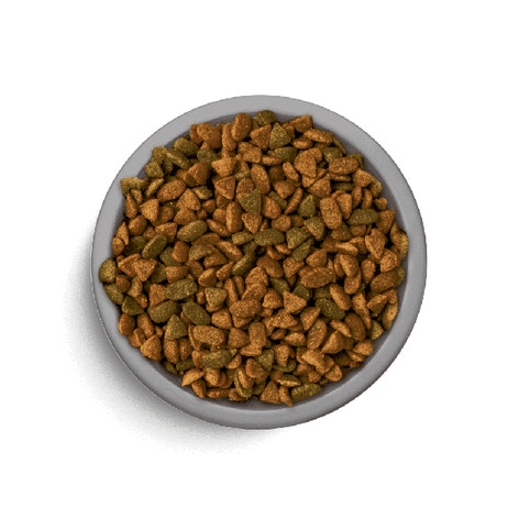 image pft-dry-sensitive-tk-t3-uk_1688633748992_0