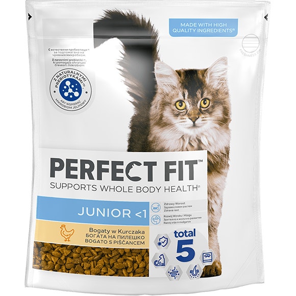 image 5900951307485_pft-cat-dry-junior_1688475433417