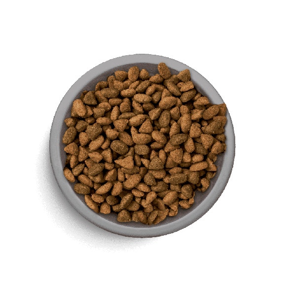 image Perfect%20Fit%E2%84%A2%20Adult%201%2B%207%20kg%20%E2%80%93%20sucha%20karma%20pe%C5%82noporcjowa%20dla%20doros%C5%82ych%20kot%C3%B3w%2C%20bogata%20w%20kurczaka