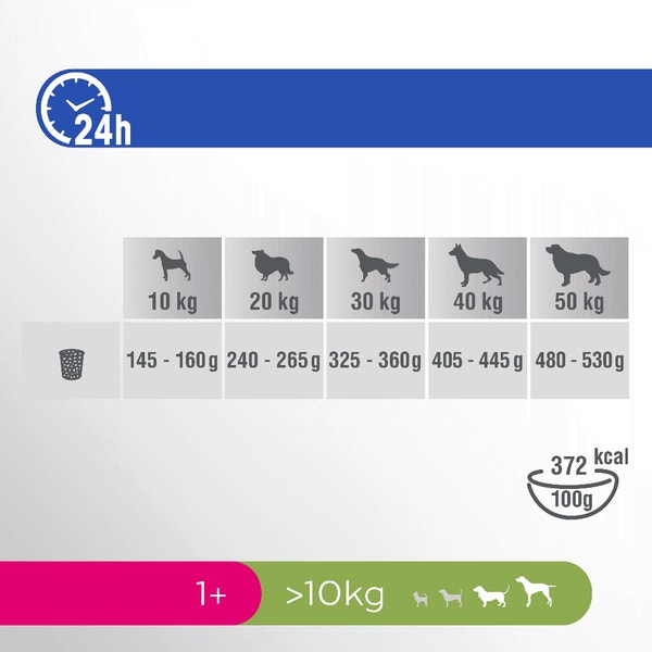 image pft-dog-adult-chck-t61-nl-de_1688480679455
