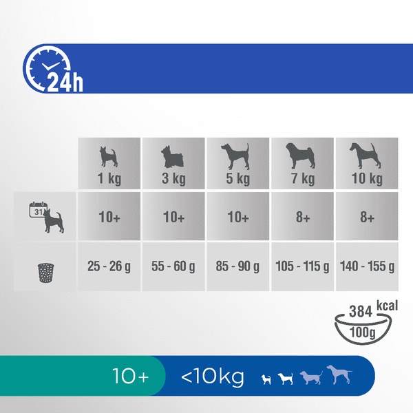 image pft-dog-senior-10-plus-chck-t61-nl-de_1688636118126