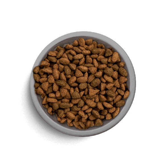 image pft-dry-adulr-beef-t3-uk_1688478787585
