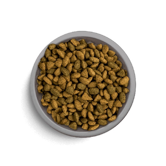 image pft-dry-adult-sl-t3-uk_1688478891201