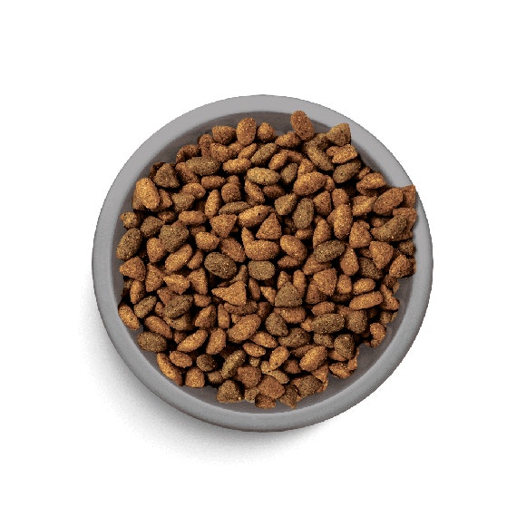 image pft-dry-indoor-ck-t3-uk_1688633469228_0