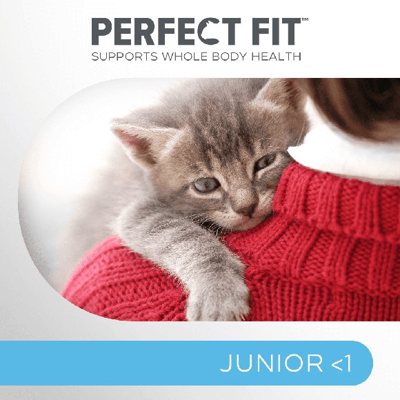 image pft-dry-junior-ck-t64-uk-display_1688636555793_0