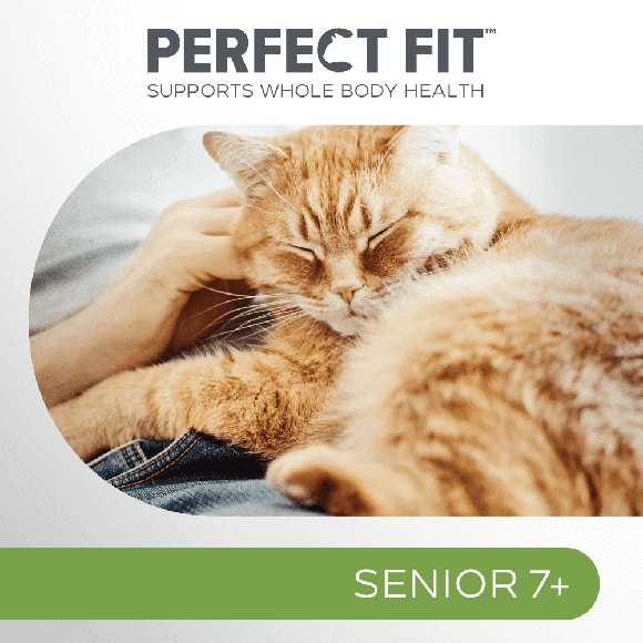 image pft-dry-senior-ck-t64-uk-display_1688637017307