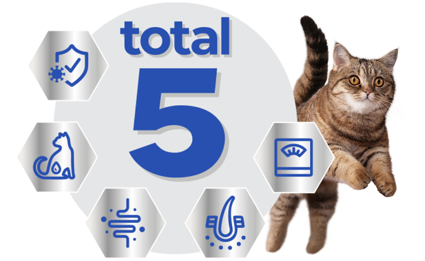KOT total 5