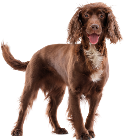 Perfect Fit brand imagery